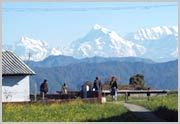 WoodsVille Resort Ranikhet