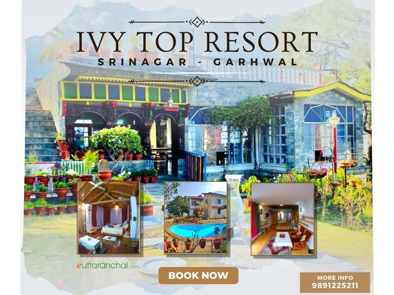 Ivy Top Resort, Srinagar Garhwal