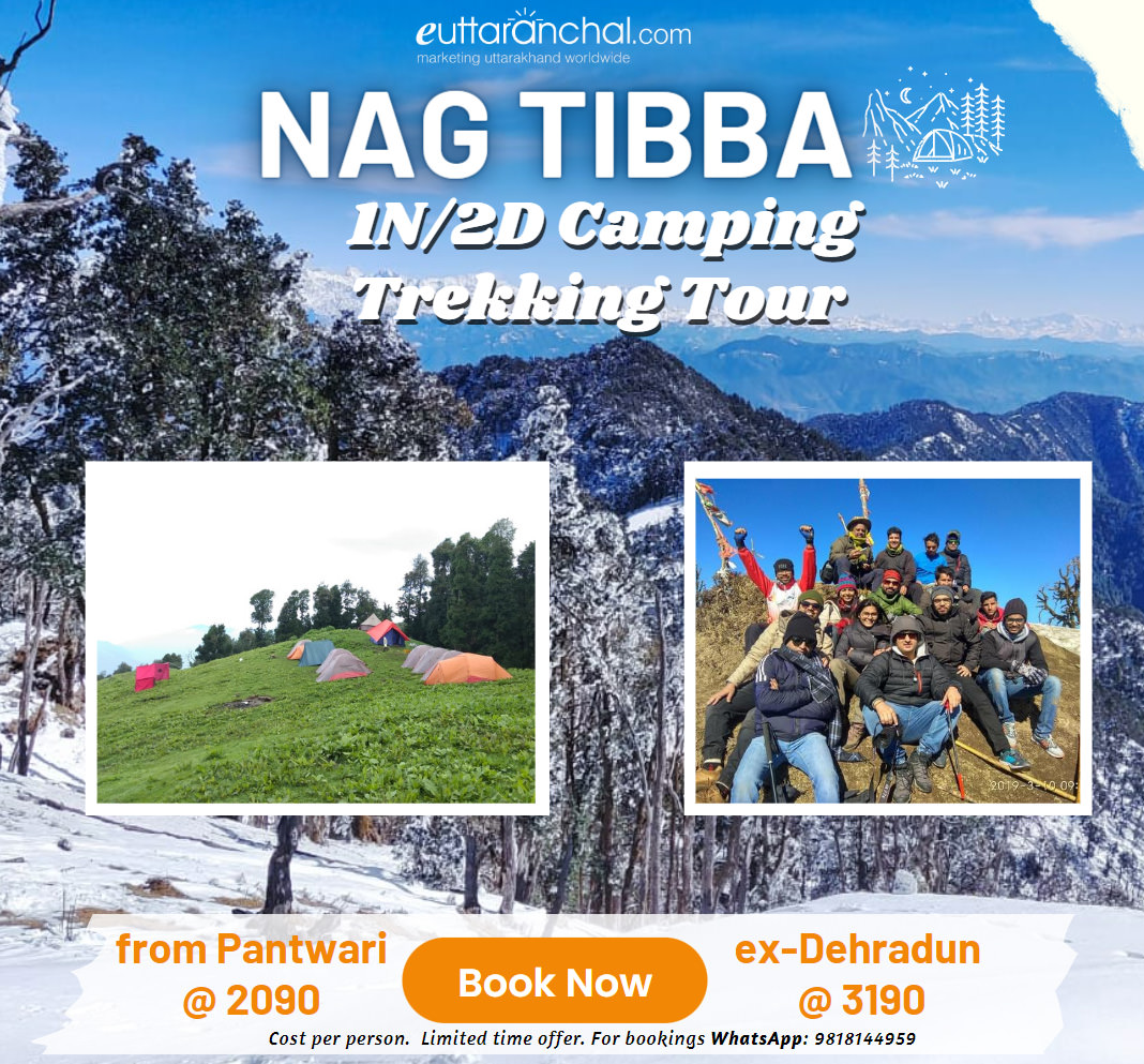 Nag Tibba 1 Night Trekking Package