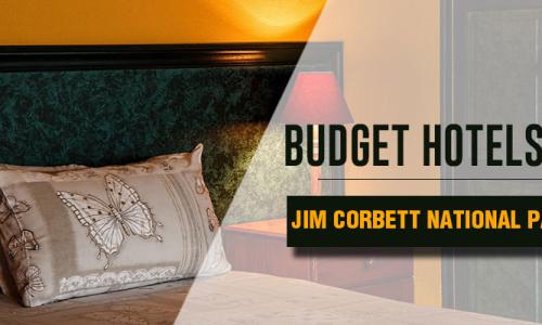 Budget Hotels in Jim Corbett National Park