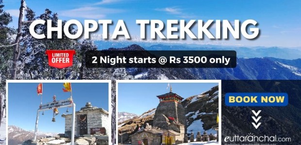 Chopta 2 Nights Trekking Tour with Tungnath Chandrashila