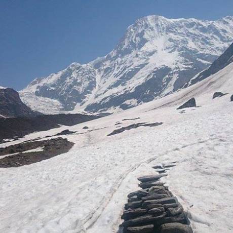 Pindari Glacier Trek Uttarakhand