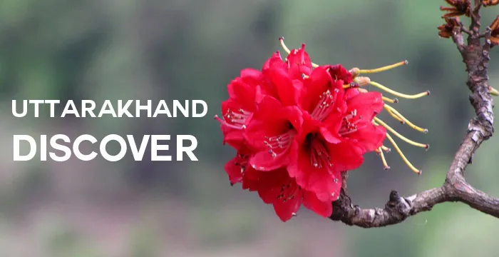 Discover Uttarakhand