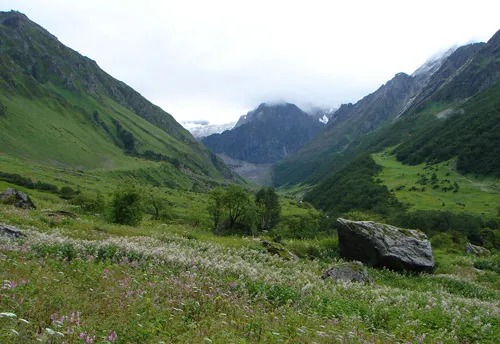 Valley of Flowers