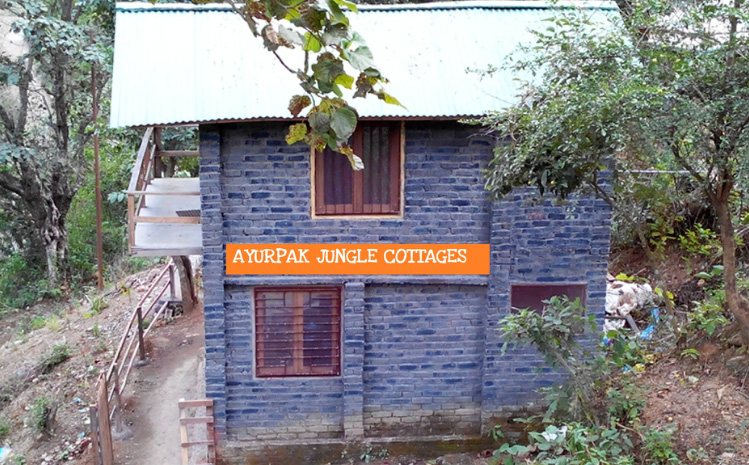Ayurpak Jungle Cottages, Rishikesh