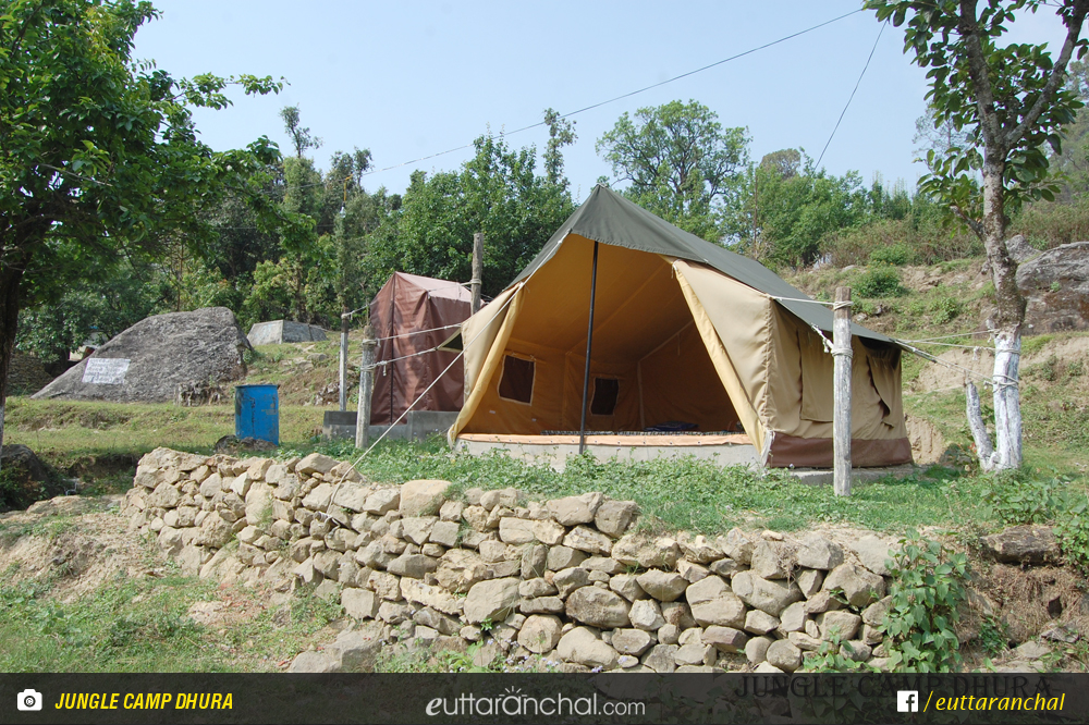 Jungle Camp Dhura, Nainital
