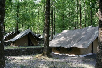 Getaway Jungle Camp Photos