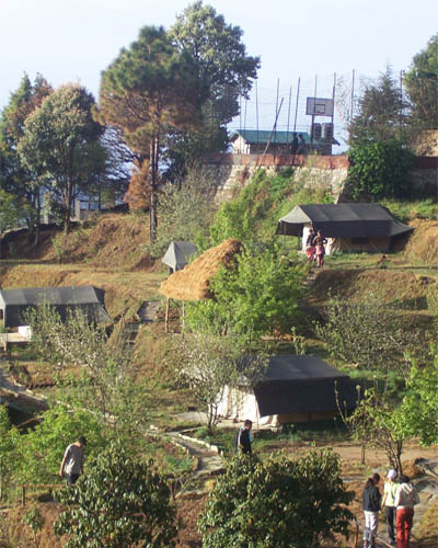 Wildex Camp Mukteshwar, Mukteshwar