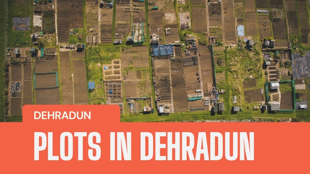 Plots In Dehradun