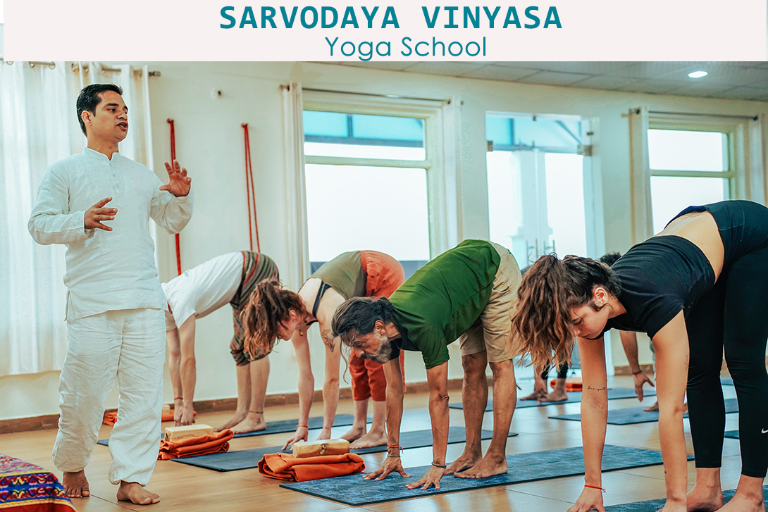 Sarvodaya Vinyasa Yoga School Rishikesh