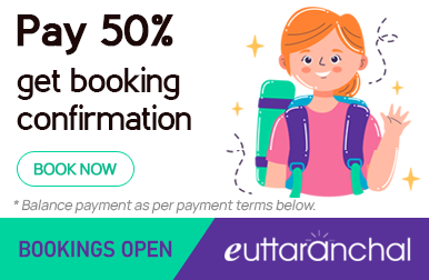 Early Bird Offer