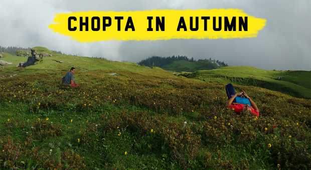 Chopta in Autumn