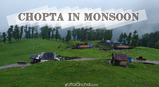 Chopta in Monsoons
