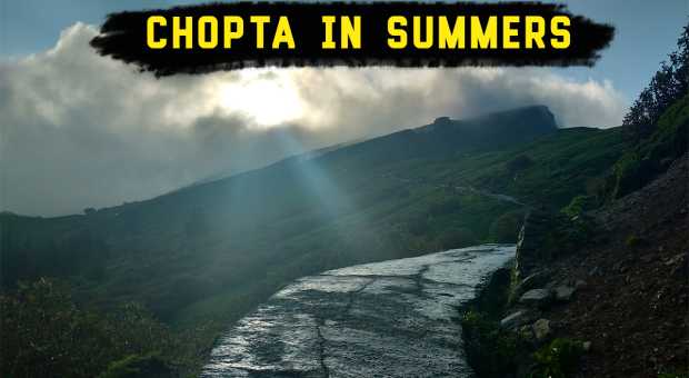 Chopta in Summer