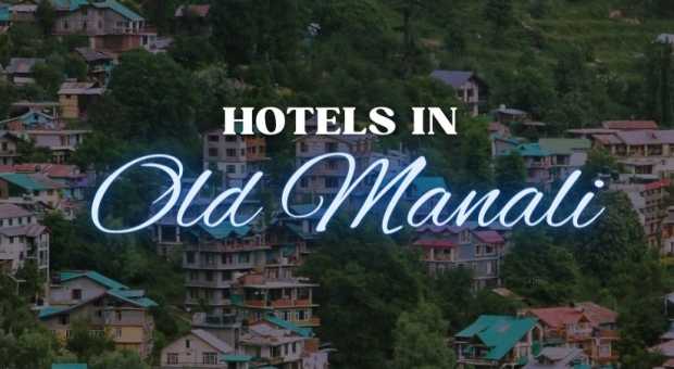 Hotels in Old Manali