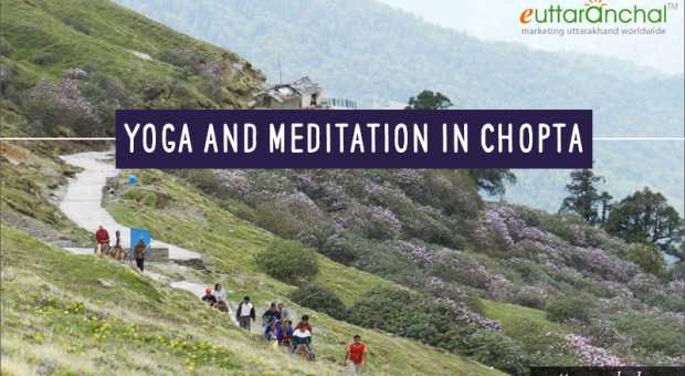 Yoga and Meditation in Chopta