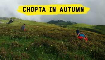 places to visit around chopta