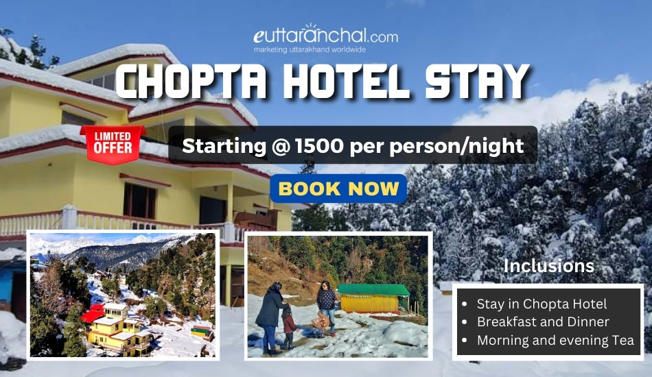 Hotel Package in Chopta - Stay with Meals Photos