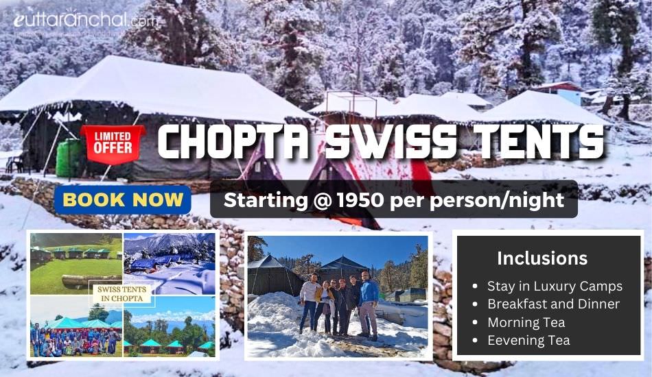 Swiss Tent Camping Package in Chopta Photos