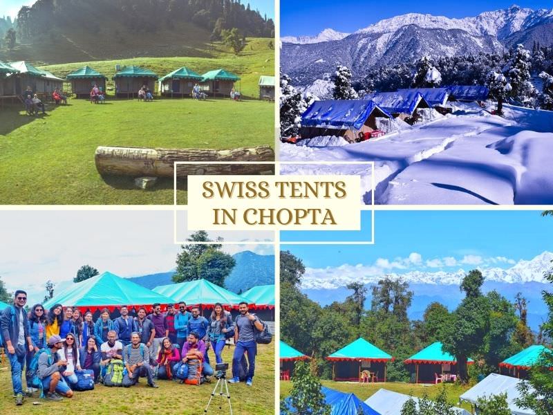 Swiss Tent Camping Package in Chopta Photos