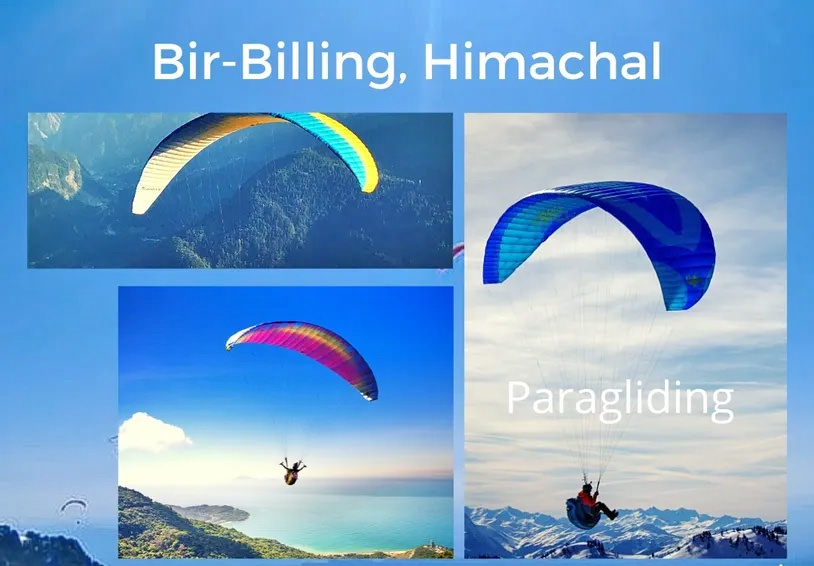 Paragliding in Bir Billing Photos