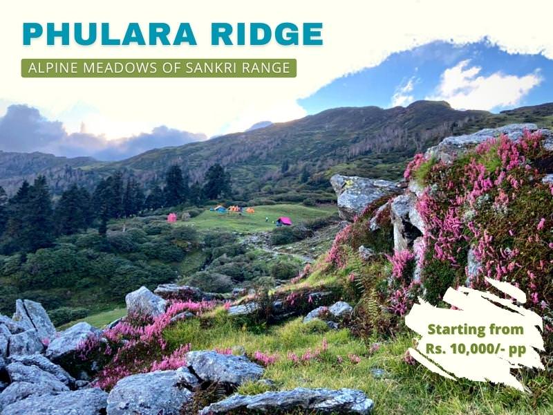 Phulara Ridge with Pushtar Bugyal ex-Sankri Photos