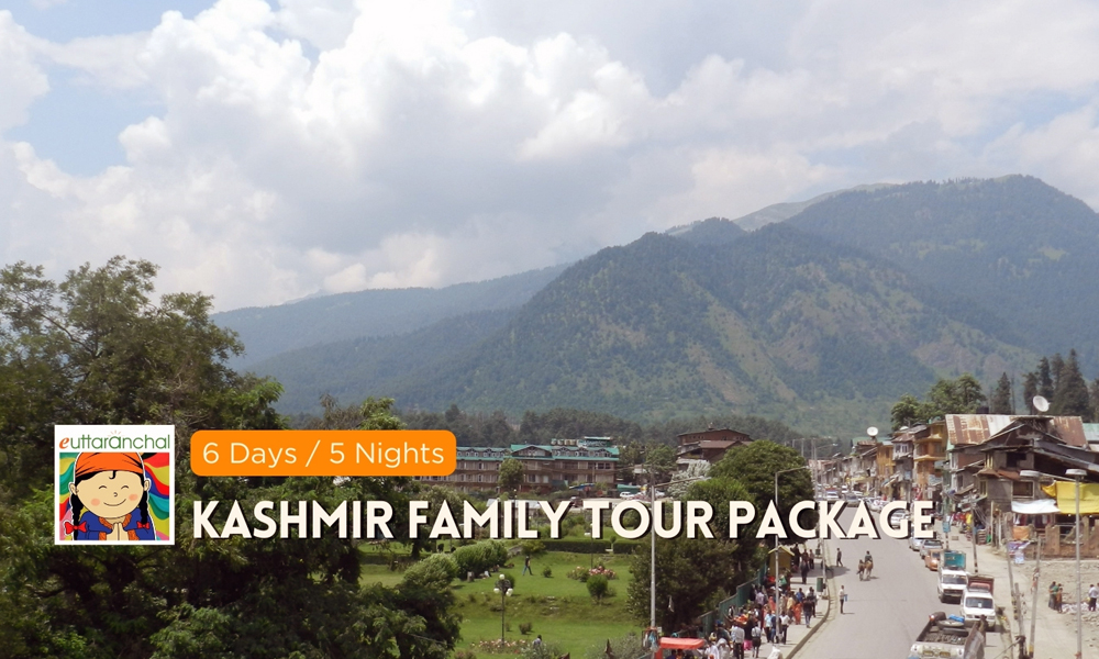 Kashmir 6 Days Family Tour Package Photos