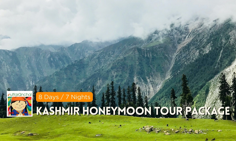 Kashmir 8 Days Honeymoon Tour Package Photos