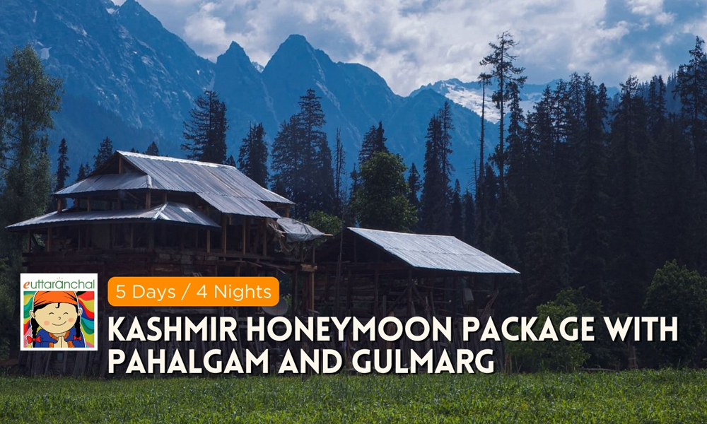 Kashmir 5 Days Honeymoon Tour Package Photos