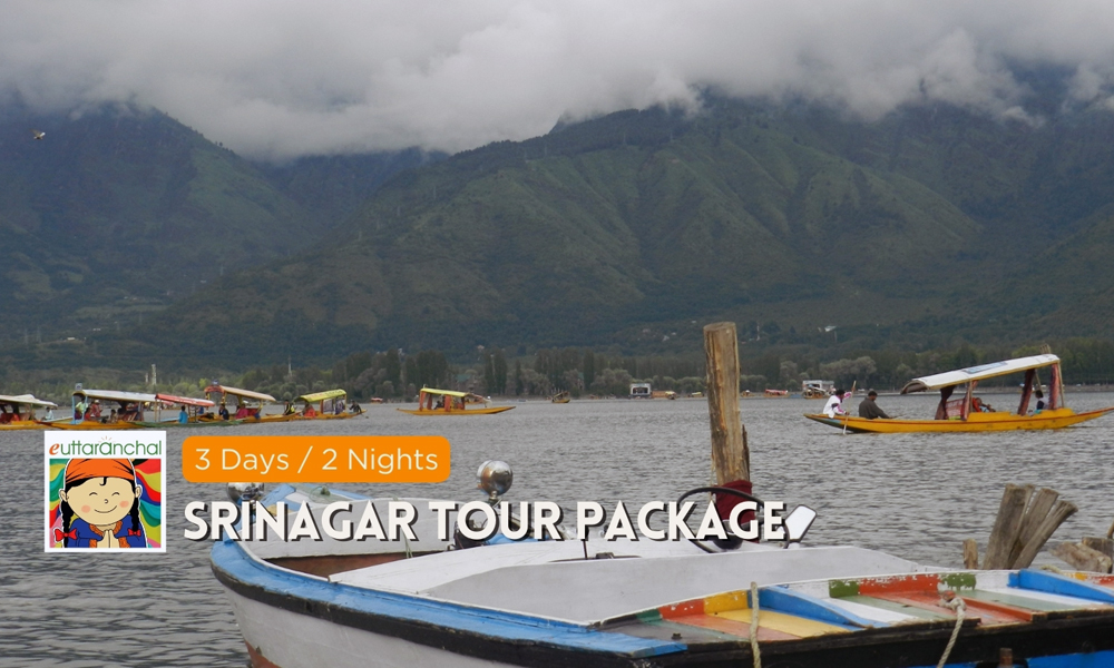 Srinagar Tour Package Photos