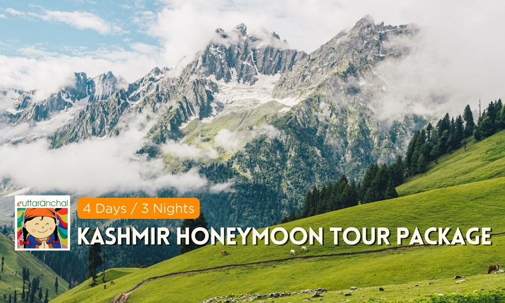 Kashmir 4 Days Honeymoon Tour Package Photos