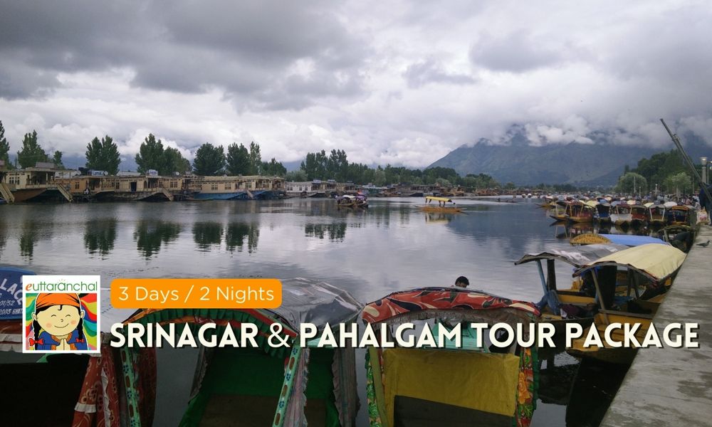 Srinagar and Pahalgam Tour Package Photos