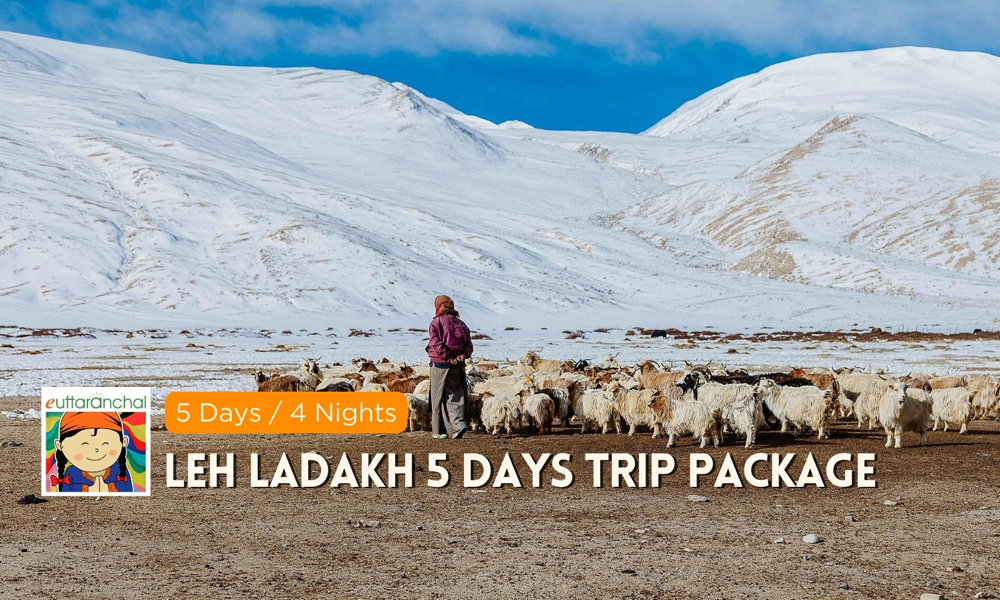 Leh Ladakh 5 Days Trip Package Photos
