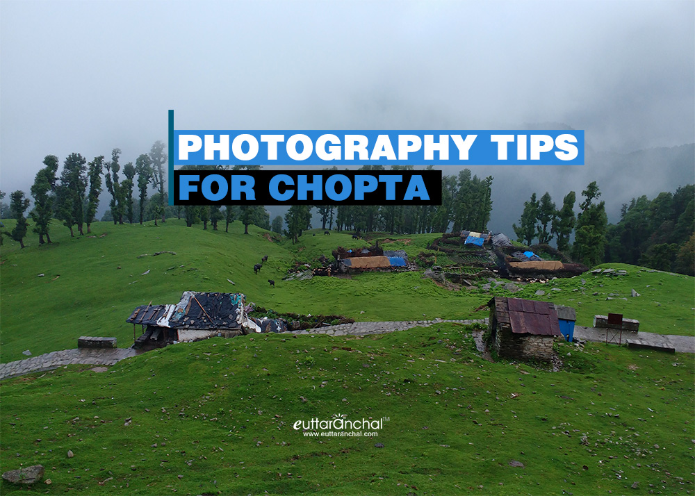 Chopta Photography Tips