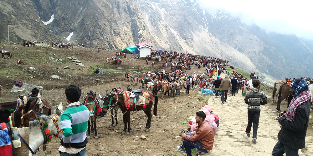 kedarnath trek news today