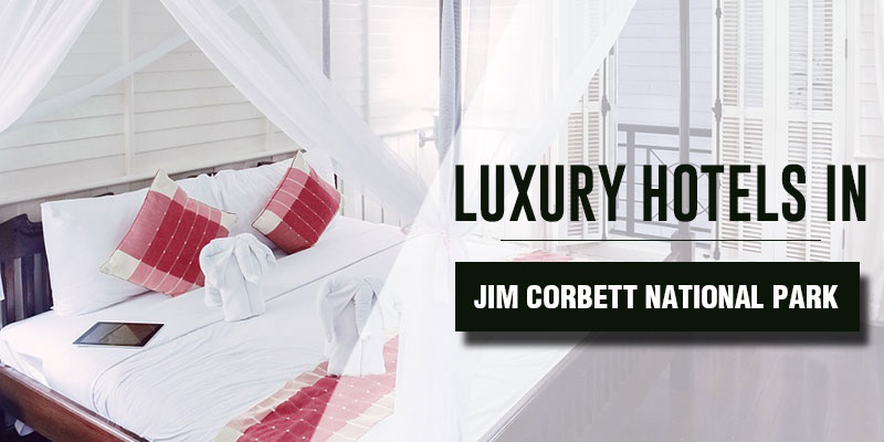 Luxury Hotels in Jim Corbett National Park