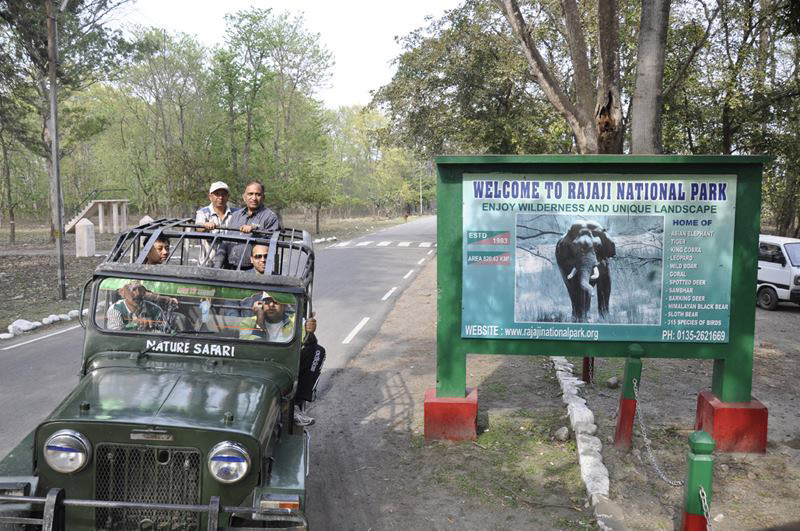 Rajaji Tiger Reserve Travel Guide - Why Visit Rajaji National Park? Rajaji  Tourism