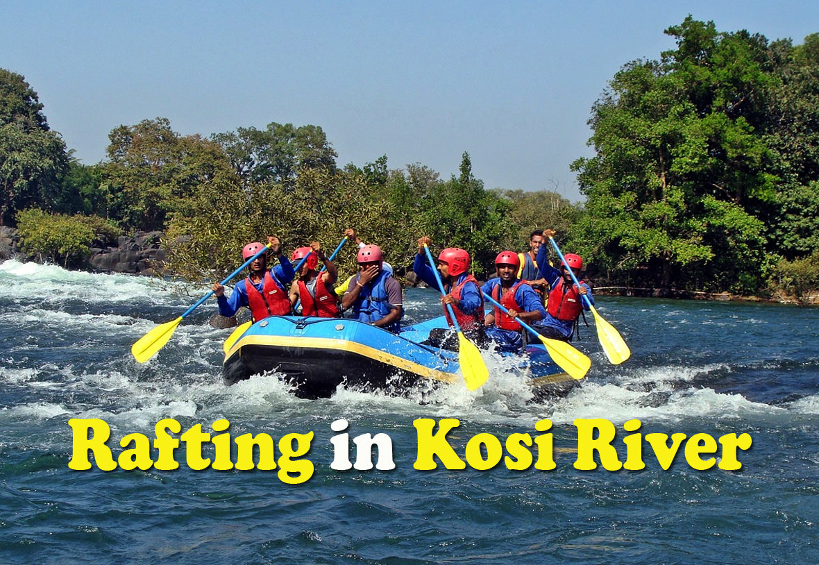 River Rafting in Corbett on Kosi River