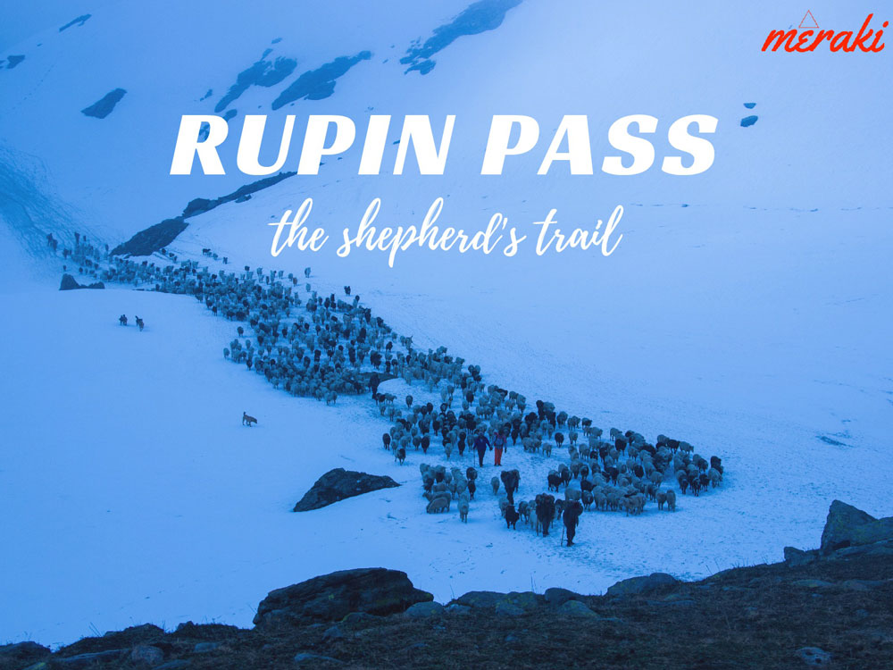 Rupin Pass ex-Sankri Trekking Photos