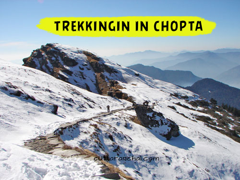 Trekking in Chopta
