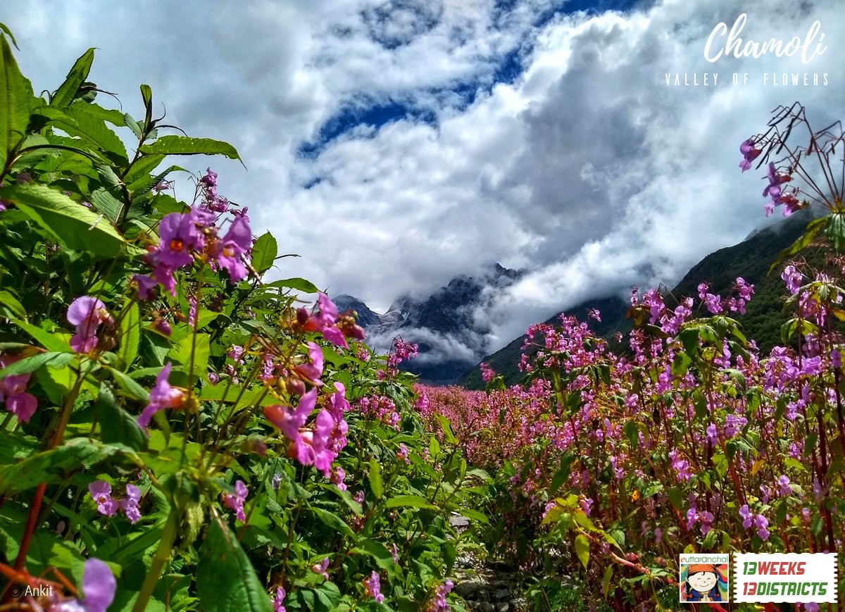 Valley of Flowers and Hemkund Sahib Luxury Tour Package (Ex-Haridwar) Photos