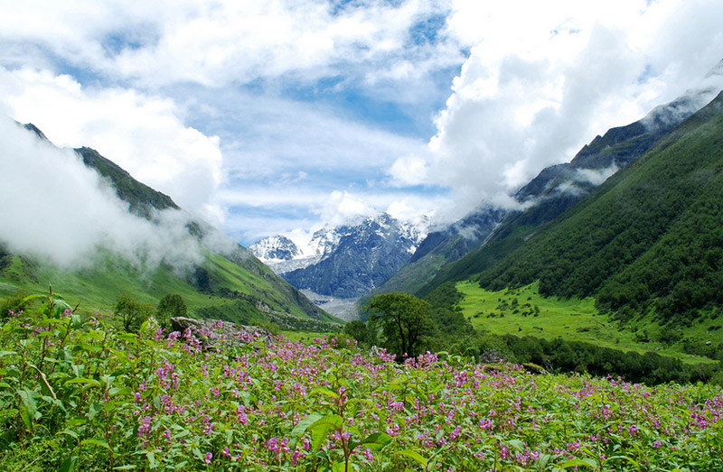 Valley Of Flowers Budget Package ex-Govindghat with Hemkund Sahib Photos