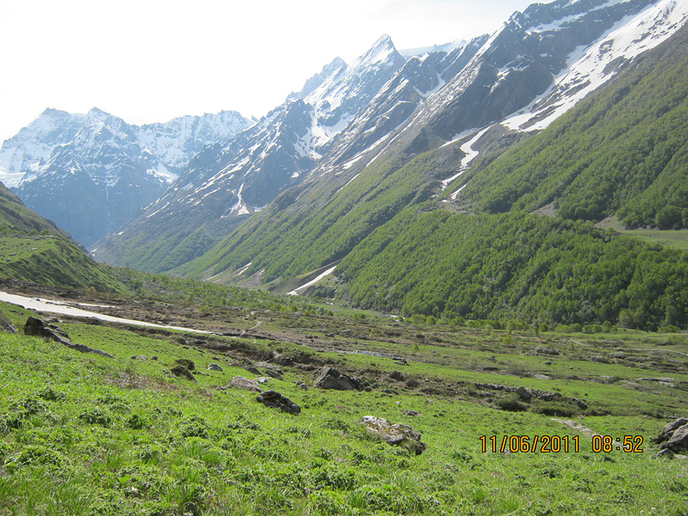Valley Of Flowers ex-GovindGhat with Premium Stay at Ghangharia Photos