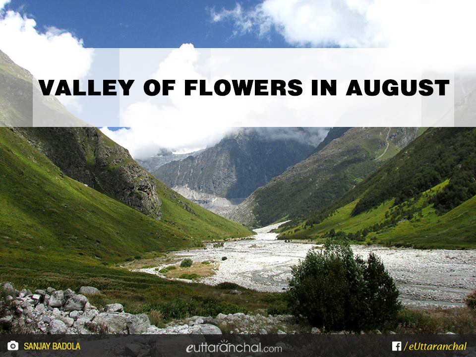 Valley of flowers In August