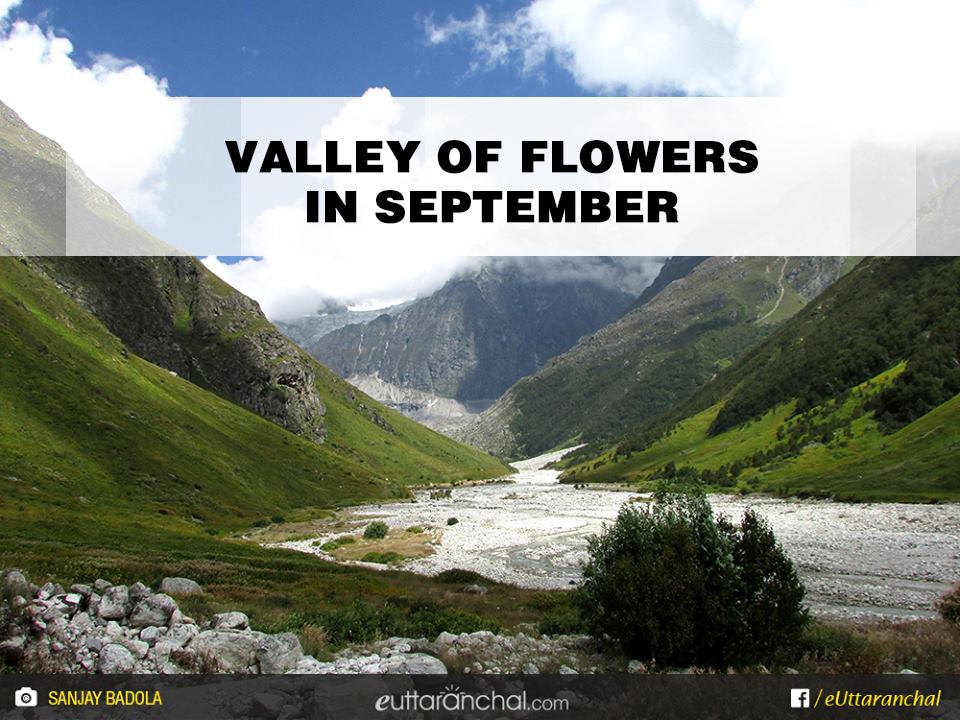 Valley of flowers In September