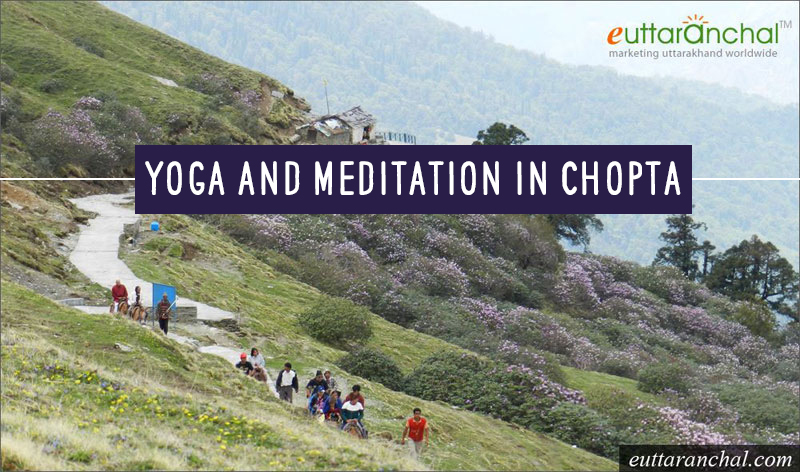 Yoga and Meditation in Chopta