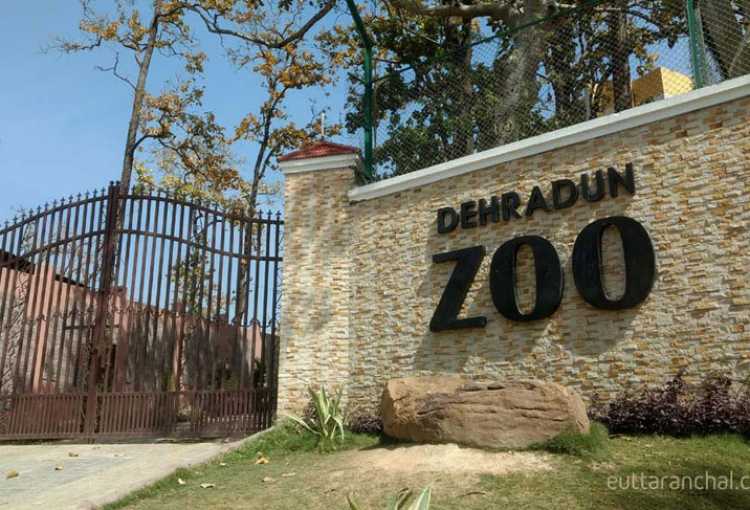 Image result for Dehradun Zoo dehradun