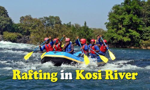 River Rafting in Corbett on Kosi River