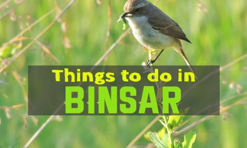 Activities In Binsar 