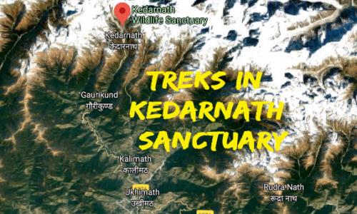 Trekking Spots in Kedarnath Wildlife Sanctuary